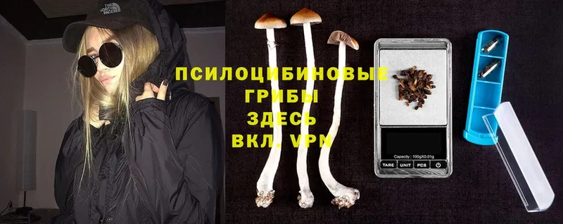 Псилоцибиновые грибы MAGIC MUSHROOMS  Черногорск 